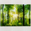 Personalized Canvas Summer Forest