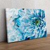 Personalized gift Blue Chrysanthemum