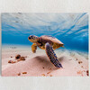 Personalized Canvas Tortoise In The Sea