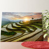 Rice Fields In Pa-Pong-Peang Personalized mural
