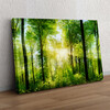Personalized gift Summer Forest