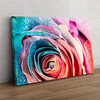 Personalized gift Rainbow Rose