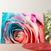 Rainbow Rose Personalized mural