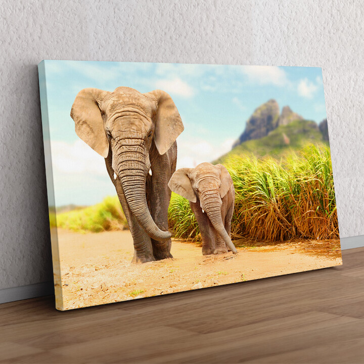 Cadeau personnalisé Éléphants en Afrique