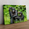Cadeau personnalisé Bonobo au Congo