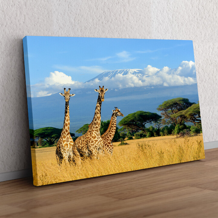 Cadeau personnalisé Girafes devant le Kilimandjaro