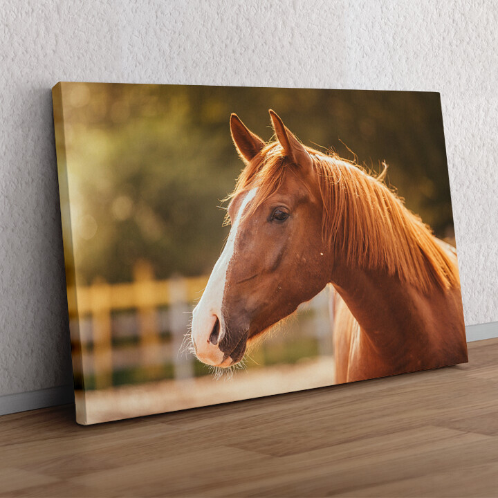 Cadeau personnalisé Portrait de cheval