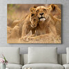 Murale personnalisée Parc national Kruger : lion, mère et enfant