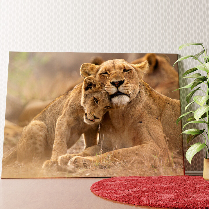 Parc national Kruger : lion, mère et enfant Murale personnalisée