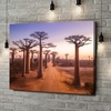 Toile Cadeau Baobabs au Madagascar