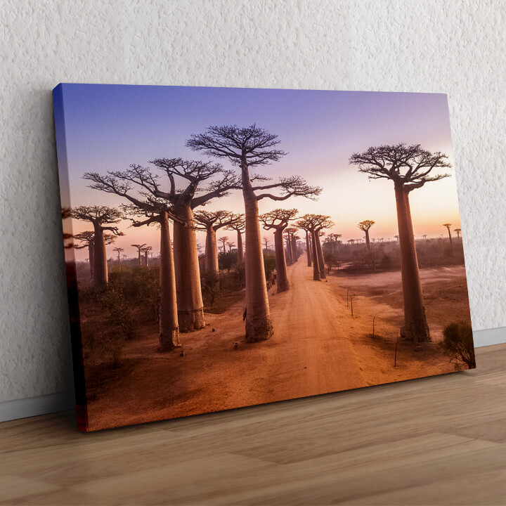 Cadeau personnalisé Baobabs au Madagascar