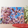 Fleur de cerisier Murale personnalisée