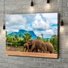 Toile Cadeau Éléphants au Sri Lanka