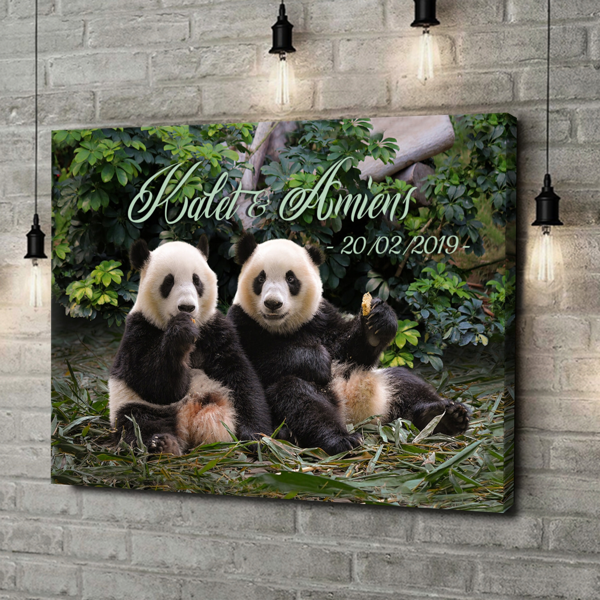 Toile Cadeau Oursons panda