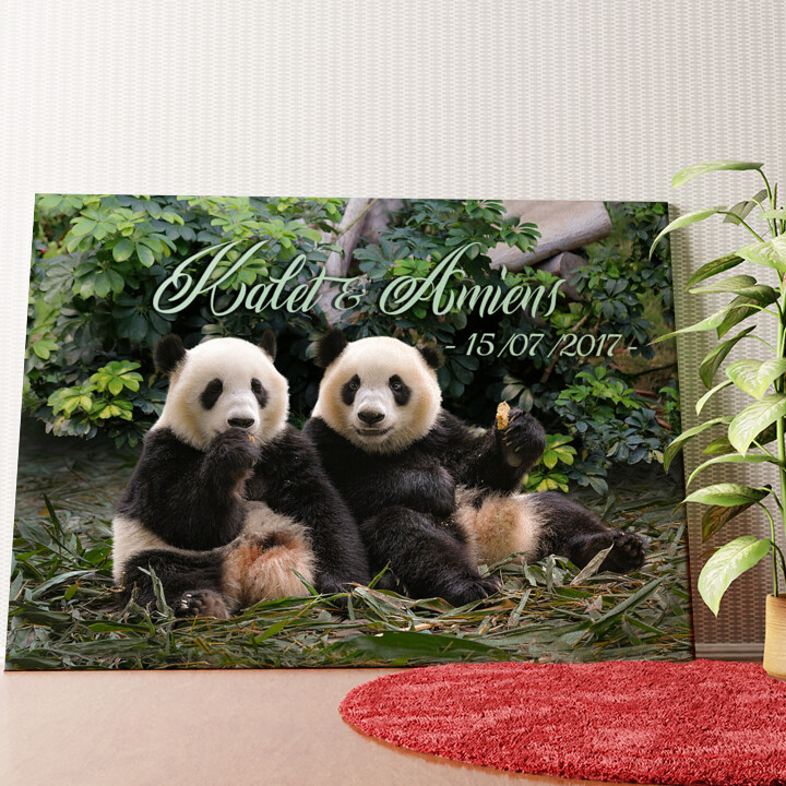 Oursons panda Murale personnalisée