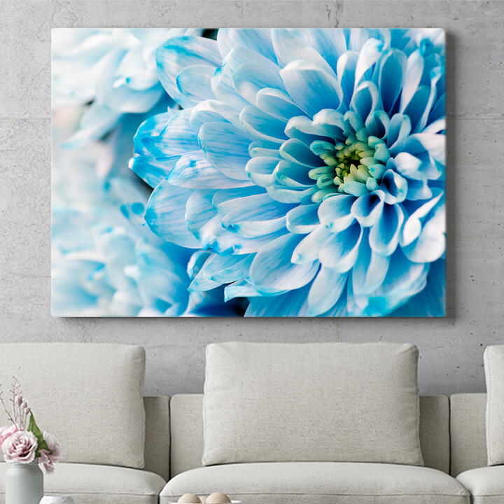 Tela personalizzata Crisantemo blu