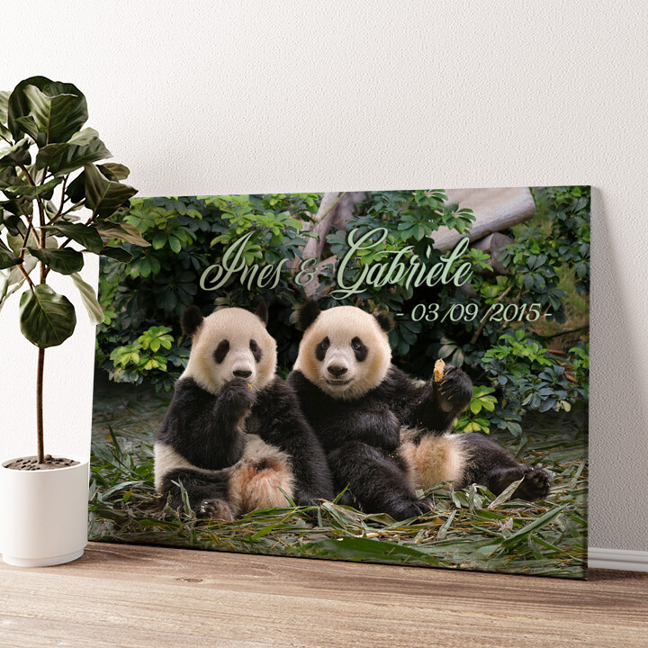 Stampa personalizzata su tela Orsi panda