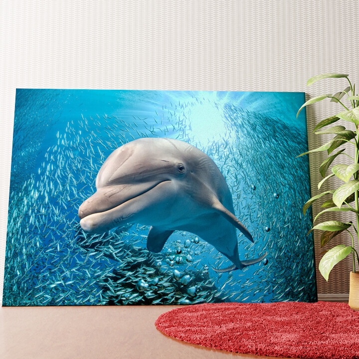 Dolfijn in de zee Gepersonaliseerde muurschildering