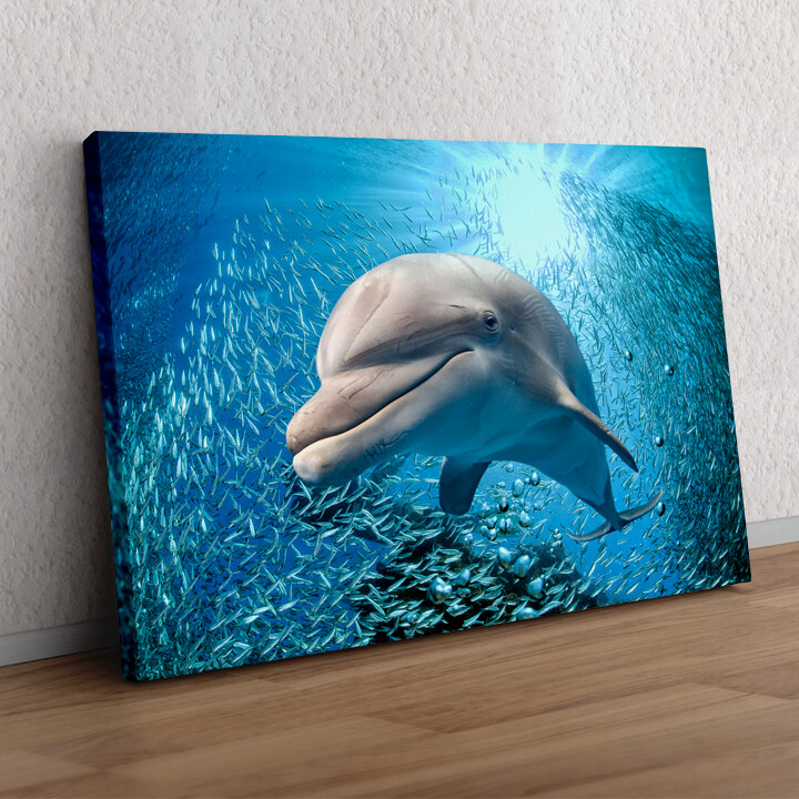 Personaliseerbaar cadeau Dolfijn in de zee