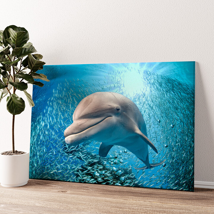 Gepersonaliseerde canvas print Dolfijn in de zee