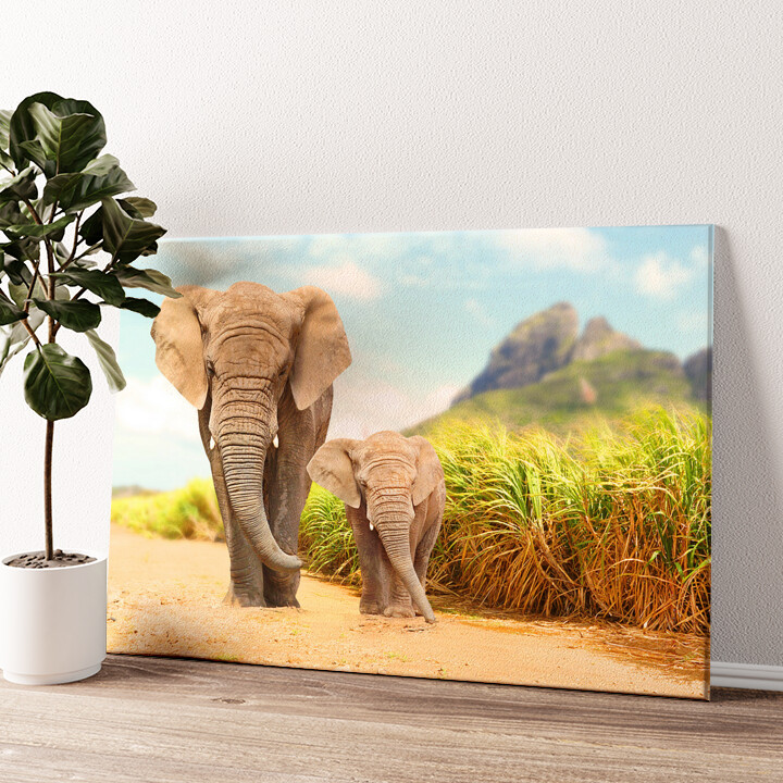 Gepersonaliseerde canvas print Olifanten in Afrika