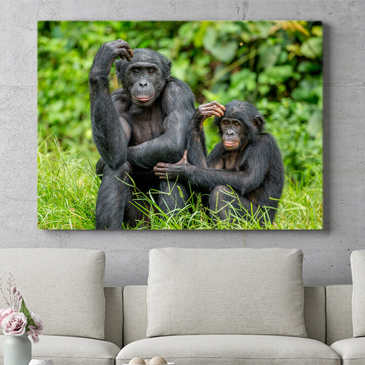 Gepersonaliseerde muurschildering Bonobo in Congo