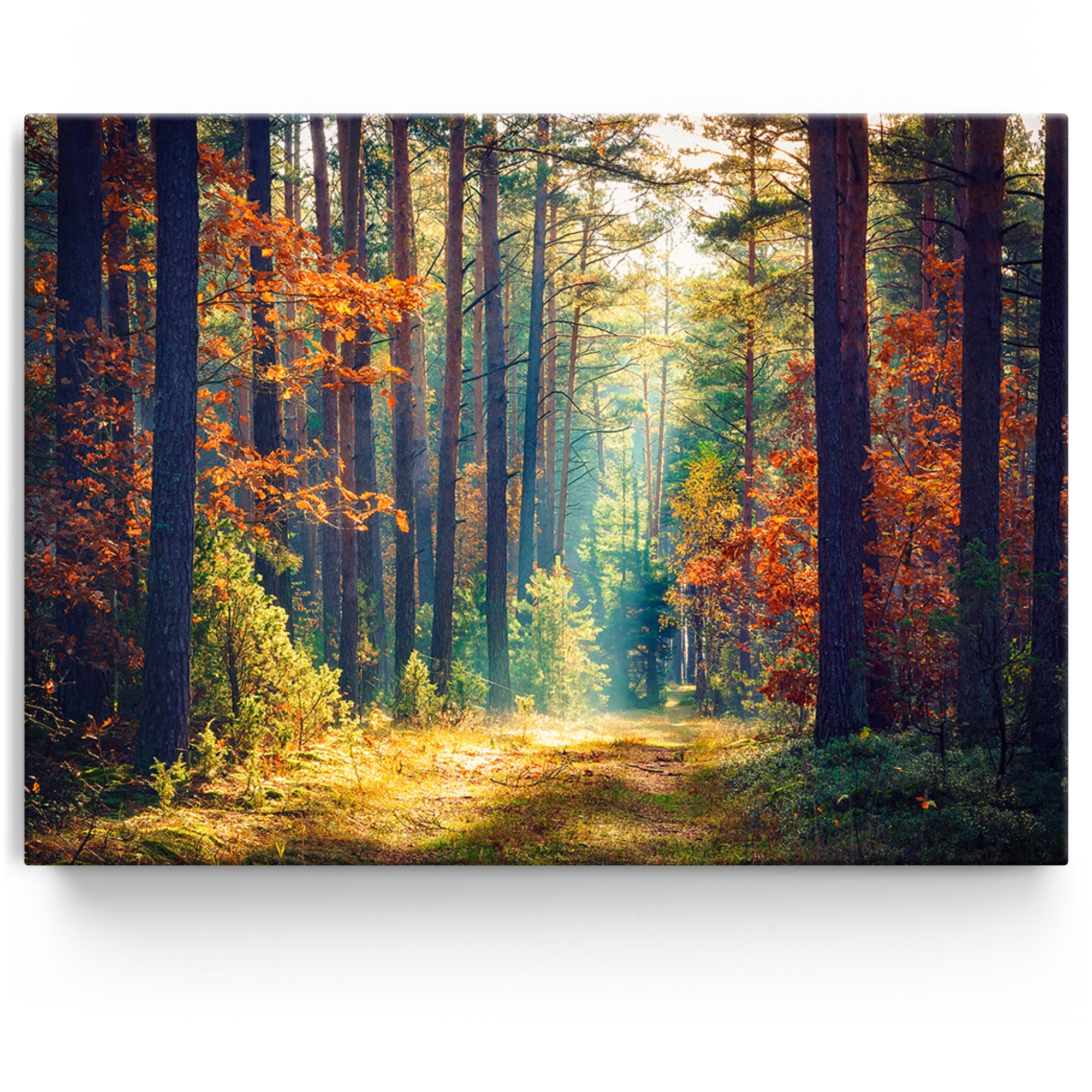 Gepersonaliseerde Canvas Herfst bos