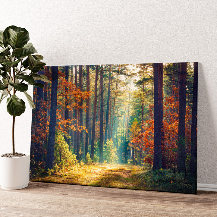 Gepersonaliseerde canvas print Herfst bos