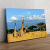 Personaliseerbaar cadeau Giraffen voor de Kilimanjaro