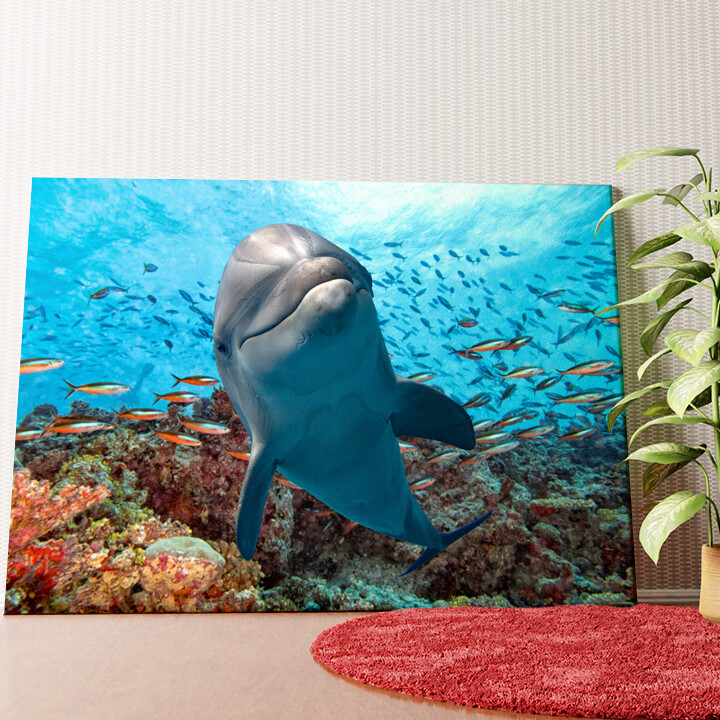 Dolfijn in het koraalrif Gepersonaliseerde muurschildering