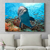 Gepersonaliseerde muurschildering Dolfijn in het koraalrif