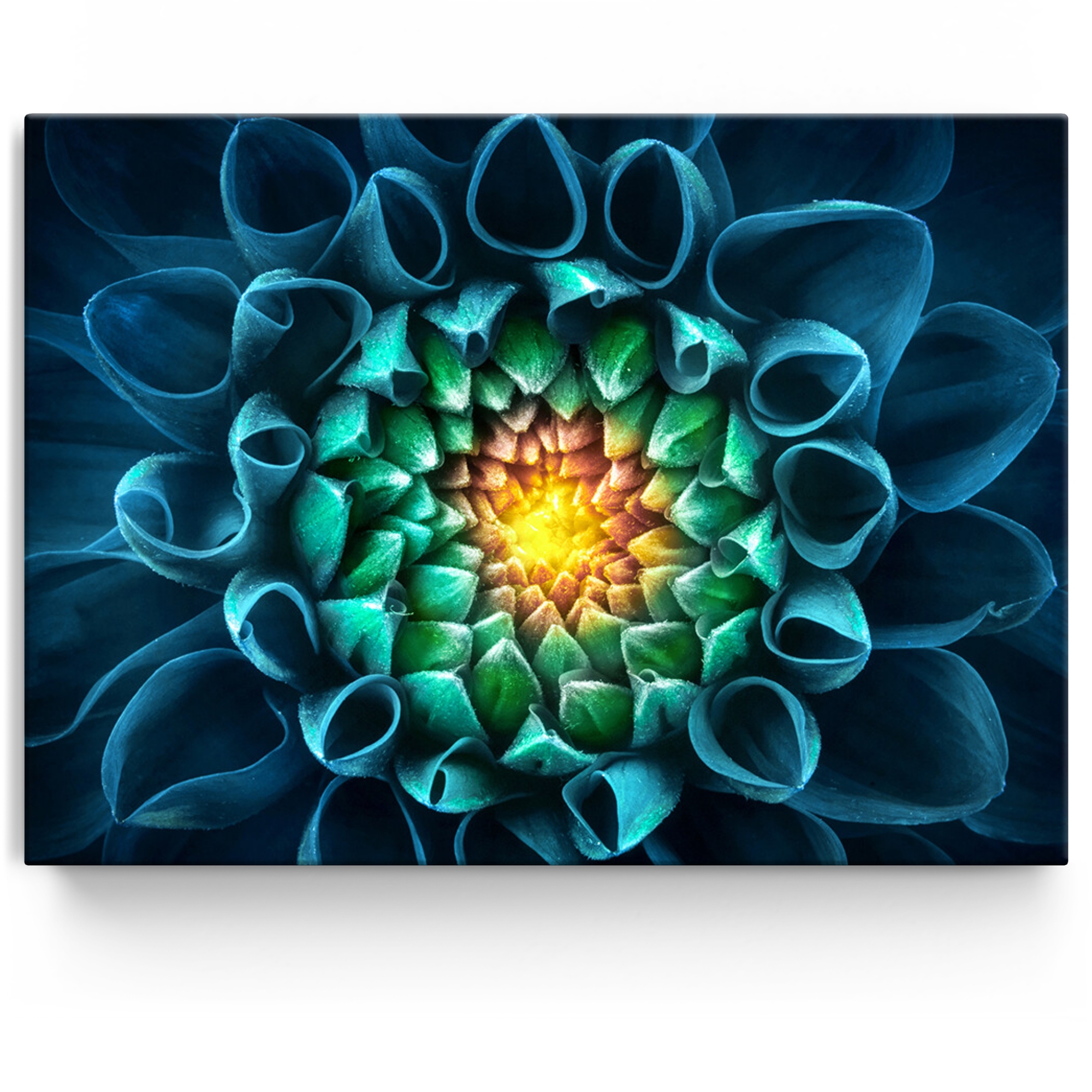 Gepersonaliseerde Canvas Blauwgroene chrysant
