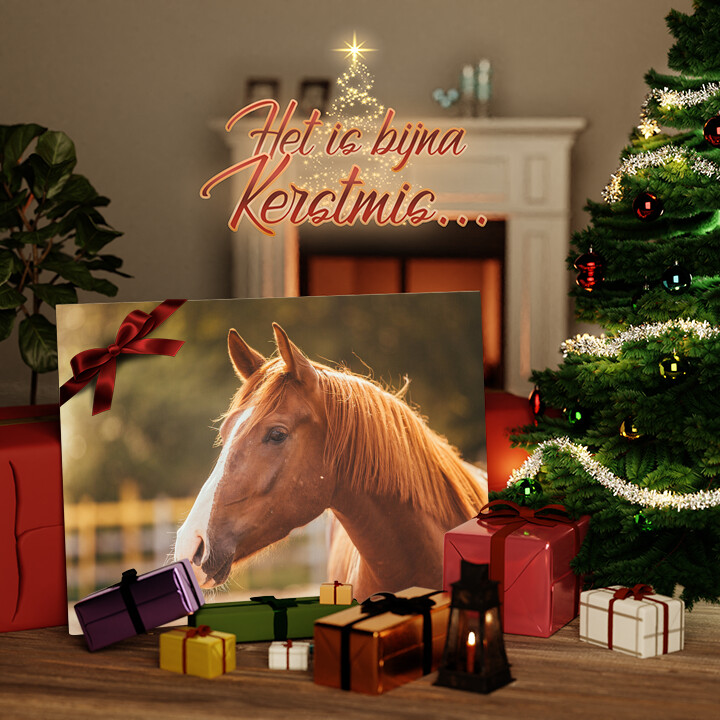 Canvas Cadeau Paard portret