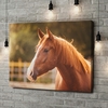 Canvas Cadeau Paard portret