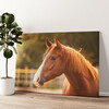 Gepersonaliseerde canvas print Paard portret