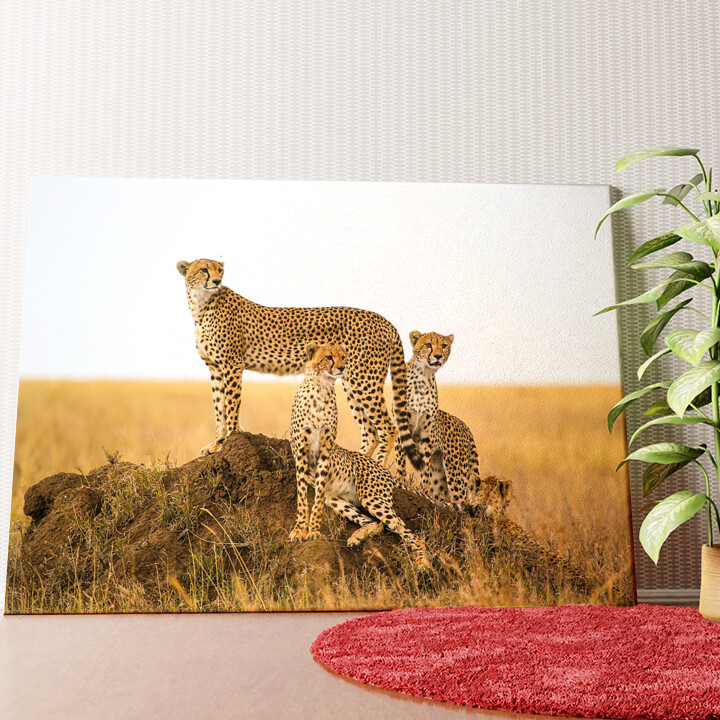 Cheetah Serengeti Gepersonaliseerde muurschildering