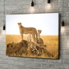 Canvas Cadeau Cheetah Serengeti