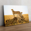 Personaliseerbaar cadeau Cheetah Serengeti