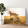 Gepersonaliseerde canvas print Cheetah Serengeti