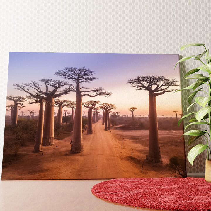 Baobab bomen Madagaskar Gepersonaliseerde muurschildering