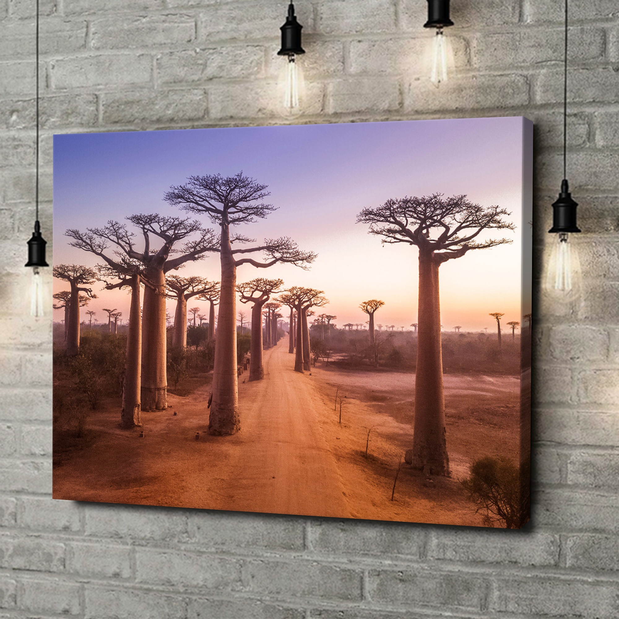Canvas Cadeau Baobab bomen Madagaskar