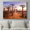 Gepersonaliseerde muurschildering Baobab bomen Madagaskar
