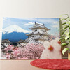 Burg Himeji Japan Gepersonaliseerde muurschildering