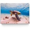 Gepersonaliseerde Canvas Schildpad in de zee