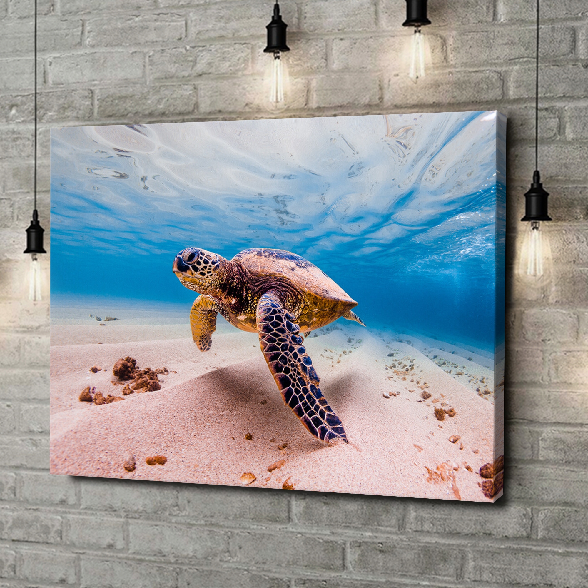 Canvas Cadeau Schildpad in de zee