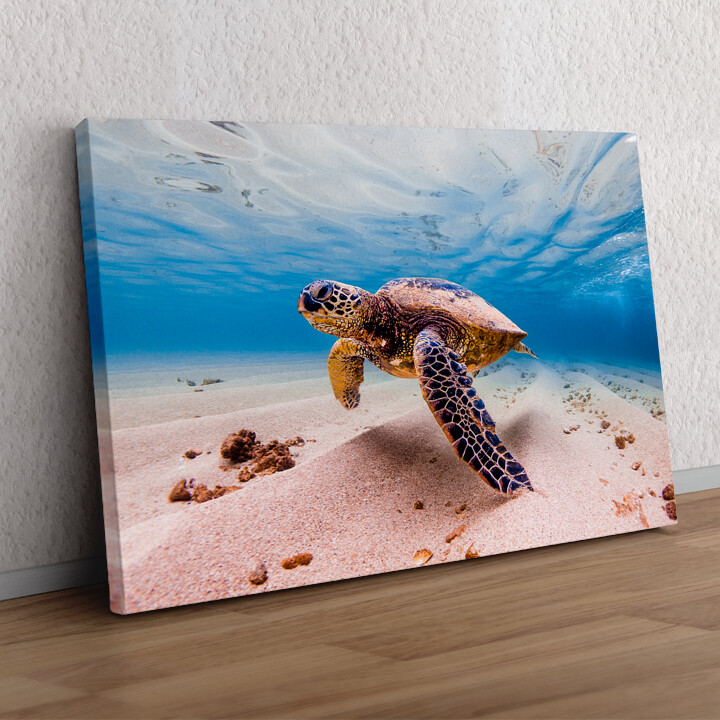 Personaliseerbaar cadeau Schildpad in de zee