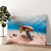 Gepersonaliseerde canvas print Schildpad in de zee